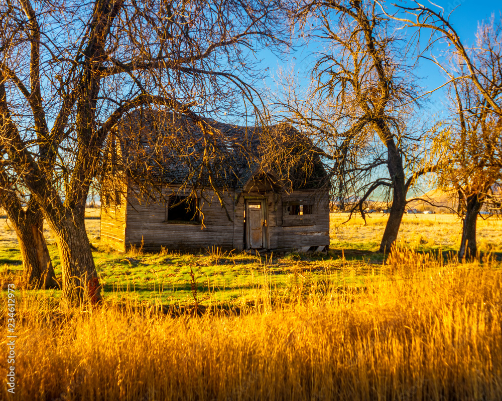 Abandoned Homestead Abandoned Homestead