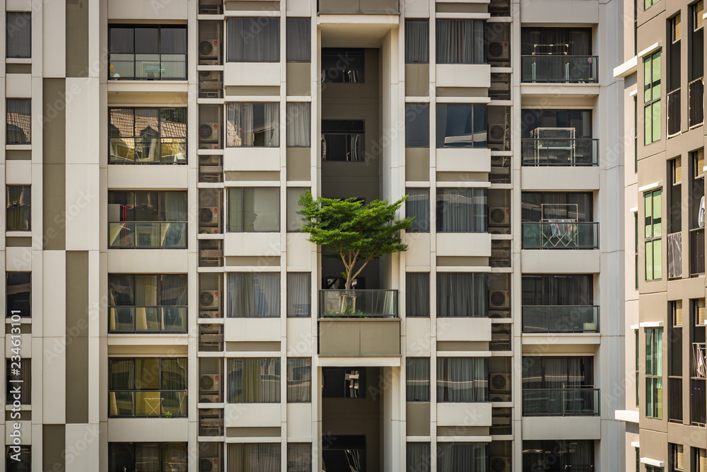 White building in Bangkok with a green tree on the balcony, a building with windows and balconies, Thailand