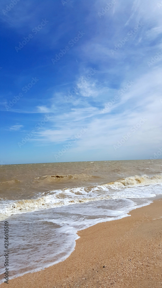 Seashore in the summer afternoon