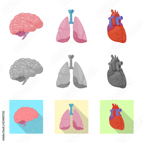 Isolated object of body and human symbol. Collection of body and medical stock vector illustration.