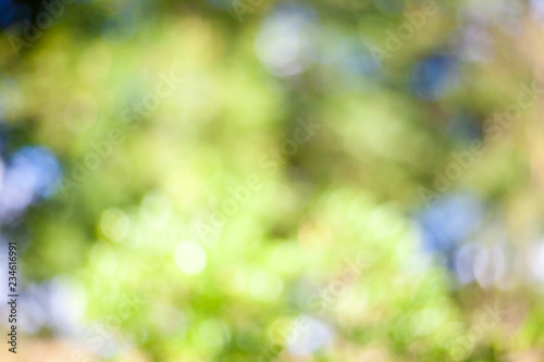 Fresh green leaf / Natural green leaves bokeh sky.