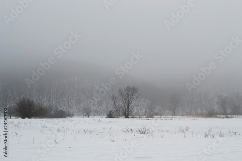 Beautiful winter meditative landscape. © vitusia