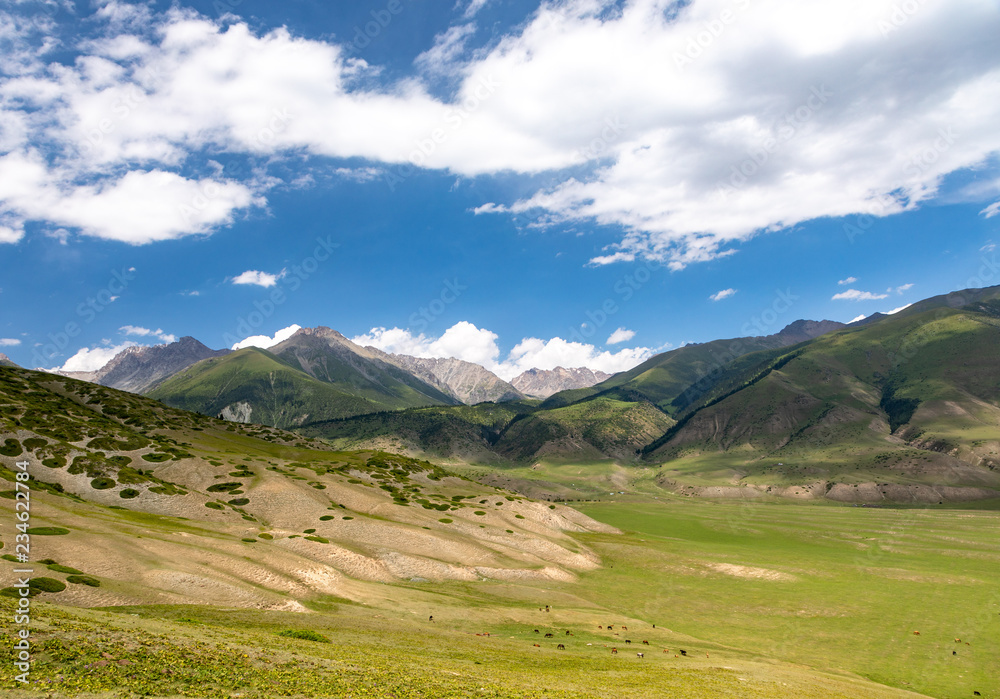 Landschaft im Semyenovka Tal in Kirgistan