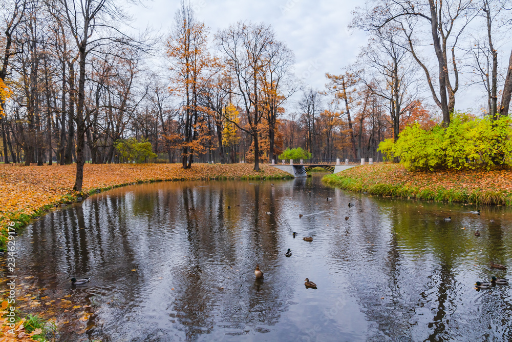 Autumn Pond in Pushkin, St. Petersburg, Russia. Autumn Pond in Pushkin, St. Petersburg, Russia.