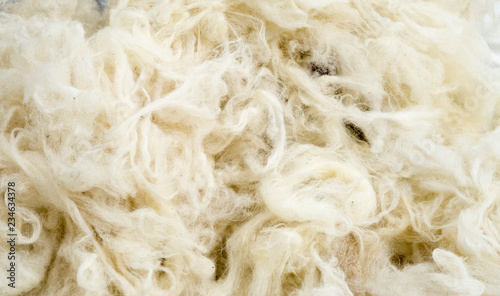 Pile of new wool closeup photo