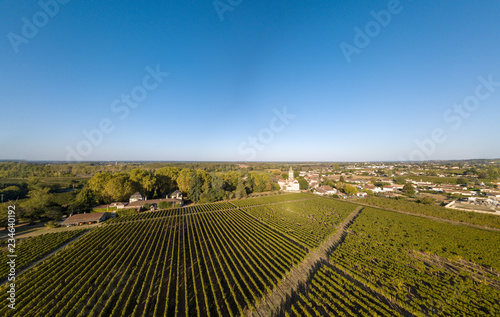 Aerial view Vineyards in the sunshine  Vineyards of Loupiac  Bordeaux Vineyards