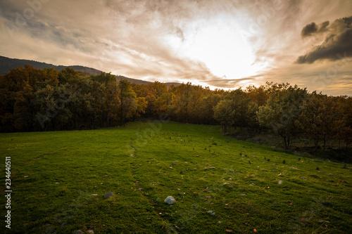 magical autumn in nature