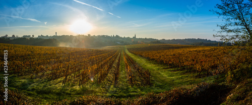 Photos Sunset landscape and smog in bordeaux wineyard france, europe
