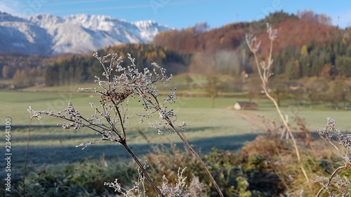 Schön - Micheldorf in Oberösterreich - Austria photo