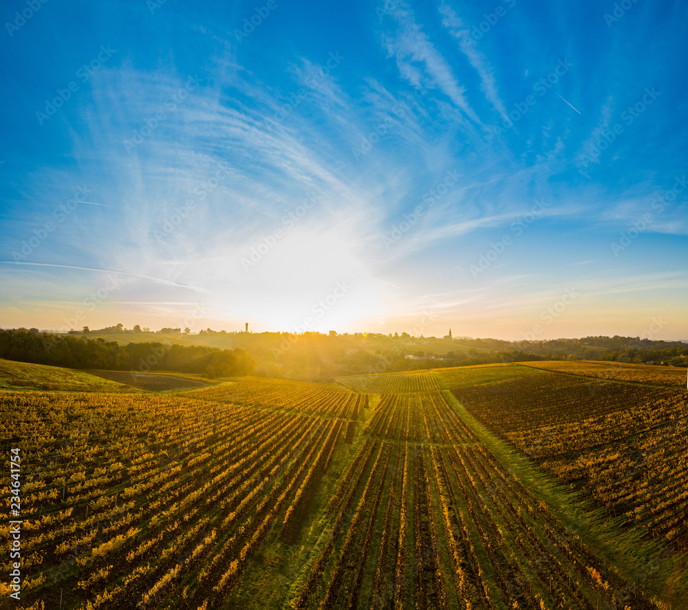 Aerial view, Vineyard Sunrise in autumn, Bordeaux Vineyard, France