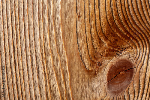 Close up of old weathered wood with bark texture background