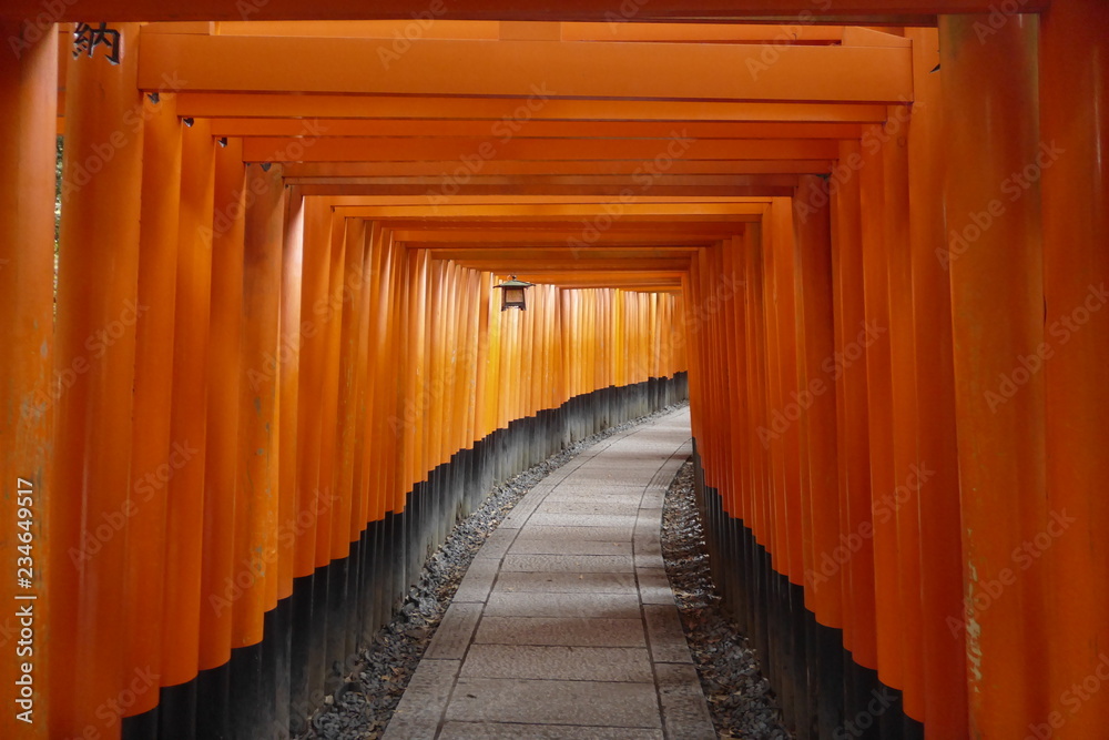 Fototapeta premium ALL