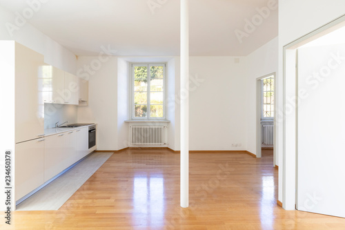 Modern kitchen in the house with parquet