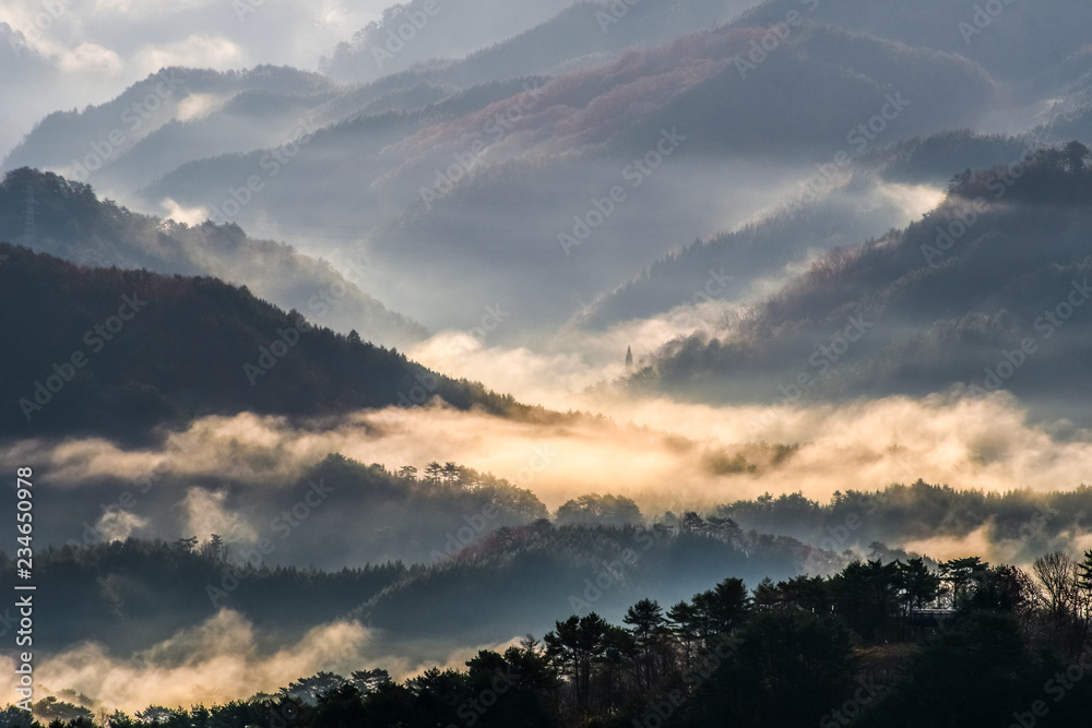日本、中国山地の絶景、掛頭山からの雲海と朝日