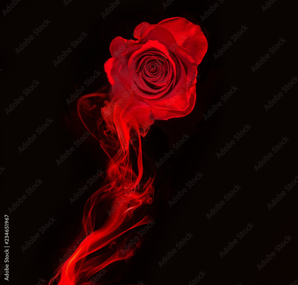 Naklejka premium róża i wir czerwony dym na białym tle na czarnym tle
