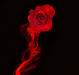 rose and swirl of red smoke isolated on black background