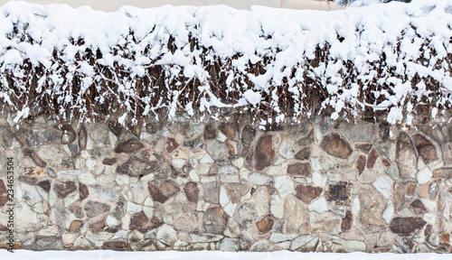 A stone wall with wild grapes in the snow