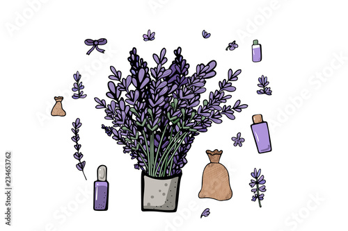 Lavender set composition in doodle style.