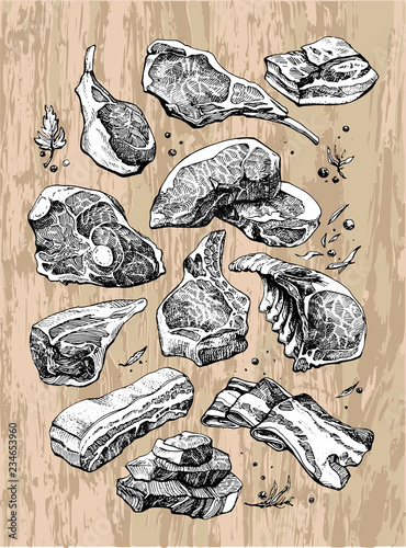 Delicious drawing of different kinds and pieces of meat