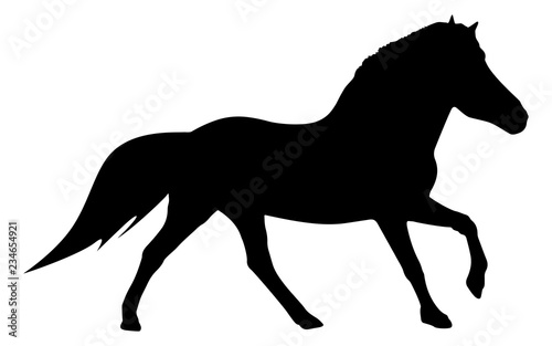 Pferd Silhouette