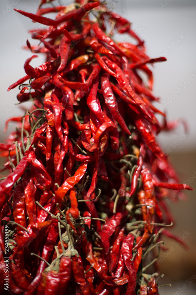 Fototapeta premium rote Chilie Schoten