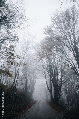 Foggy landscape in the mountain at winter