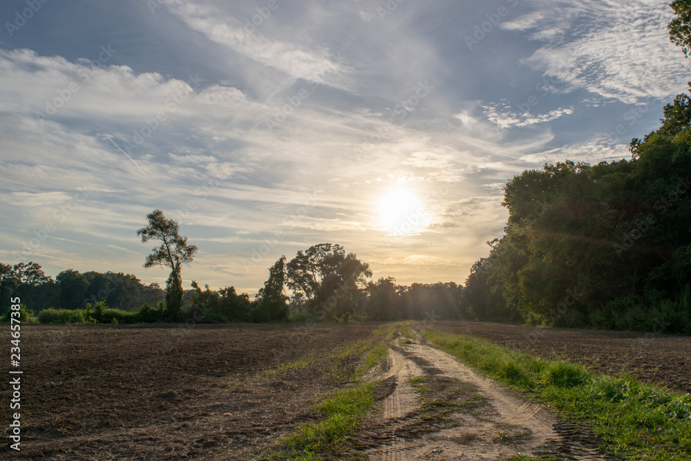 afternoon at an Avoyelles Parish farm afternoon at an Avoyelles Parish farm