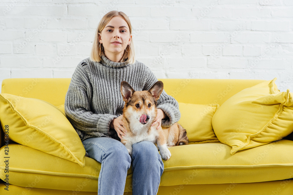 attractive woman sitting on sofa, looking at camera and holding funny welsh corgi dog