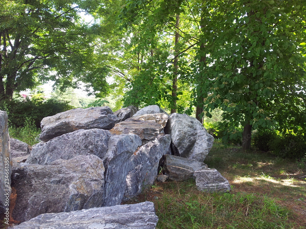 Large stones or rock settled in between green trees in a public park Large stones or rock settled in between green trees in a public park
