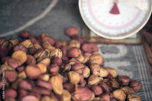 traditional kola nuts close up, on african market on a sunny day in the Gambia with a scale in the background