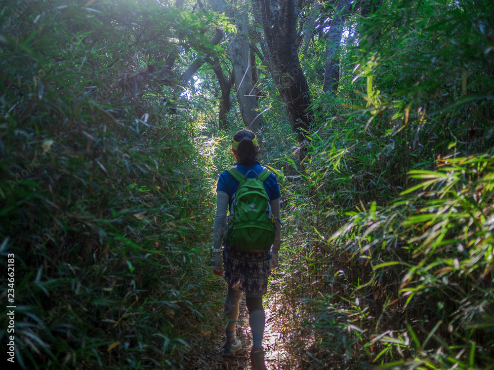 Fototapeta premium 鎌倉ウォーキング