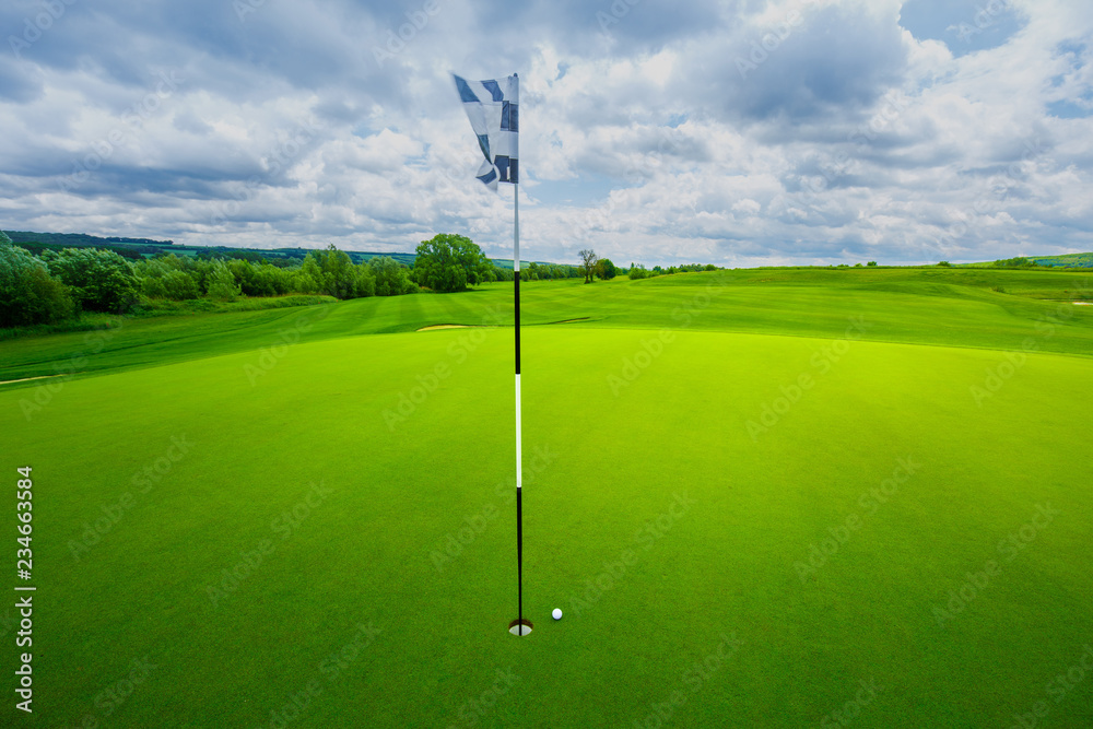 Obraz premium golf ball in the green grass close to the hole