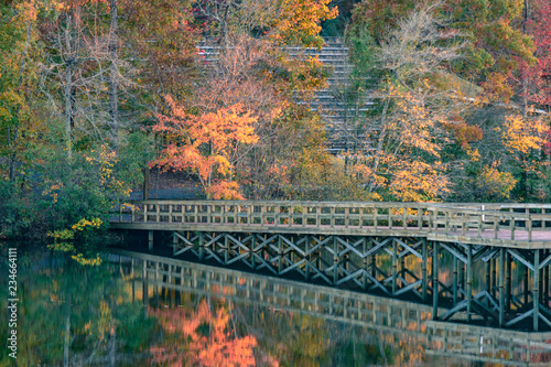 autumn landscape with trees and bridge over the lake