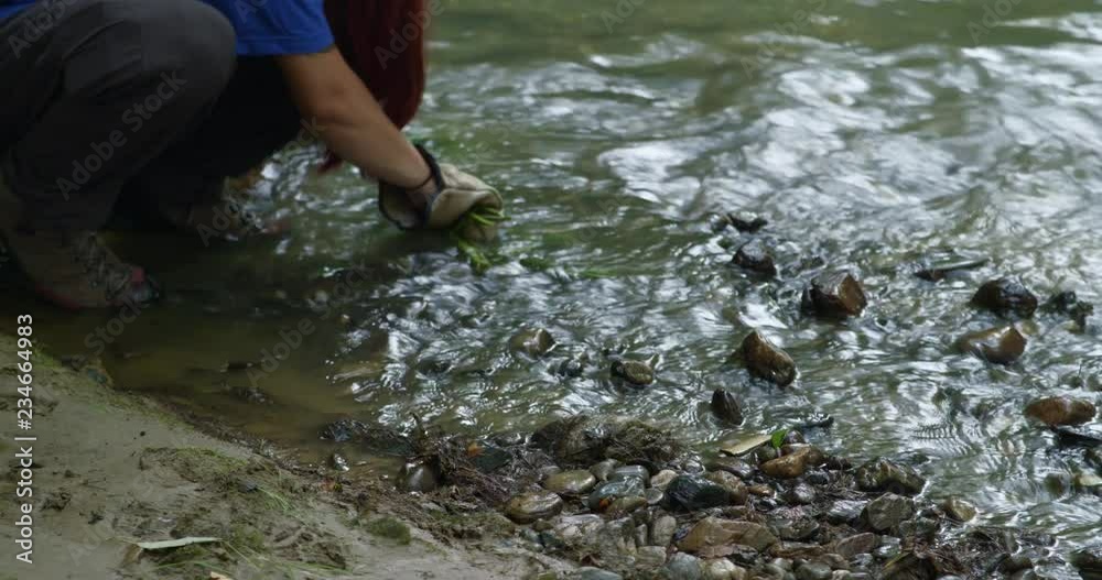 Bushcrafter is ringing nettles in creek Bushcrafter is ringing nettles in creek