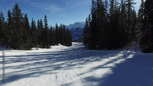 ski piste through the pine trees