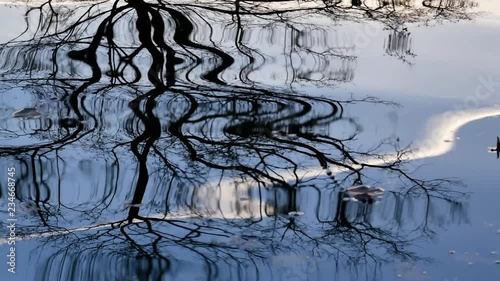 Slow pan over a tree and golden & blue sunset sky reflected in rippled water.