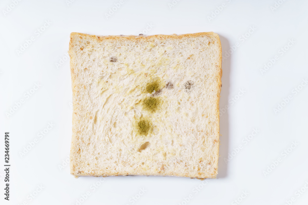 mold on white bread