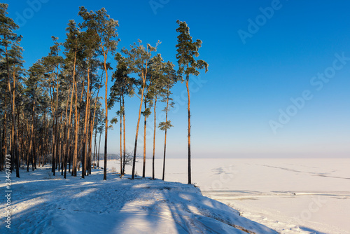 Beautiful winter landscape with pine forest and iced lake
