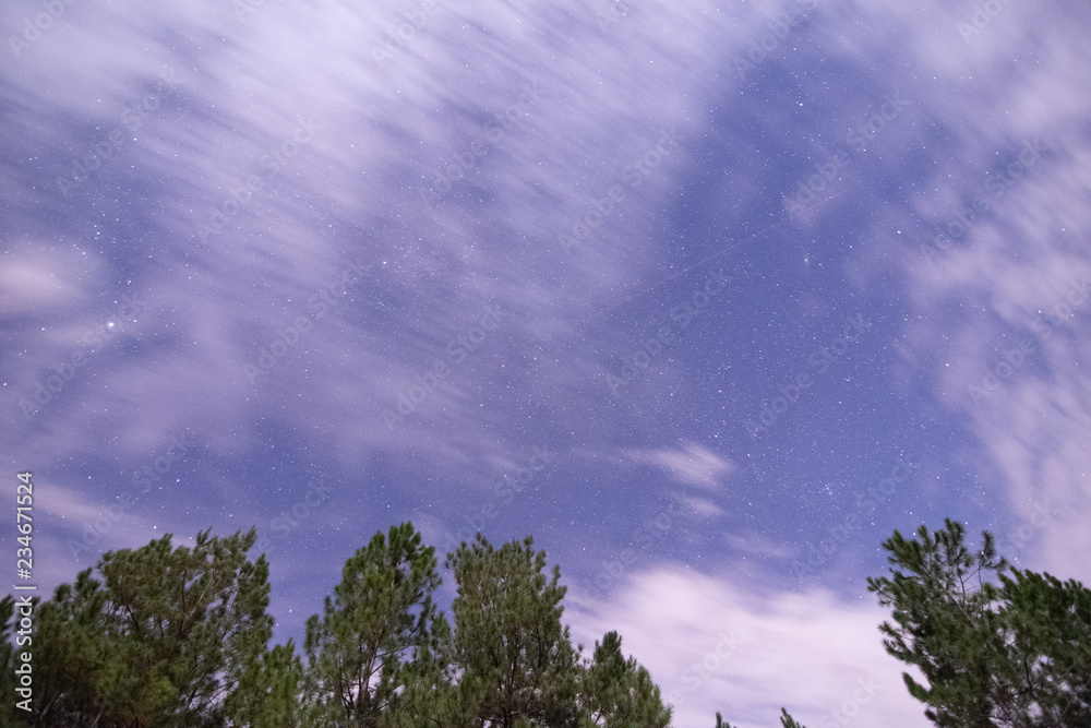 Fototapeta premium stargazing in Bancroft Louisiana