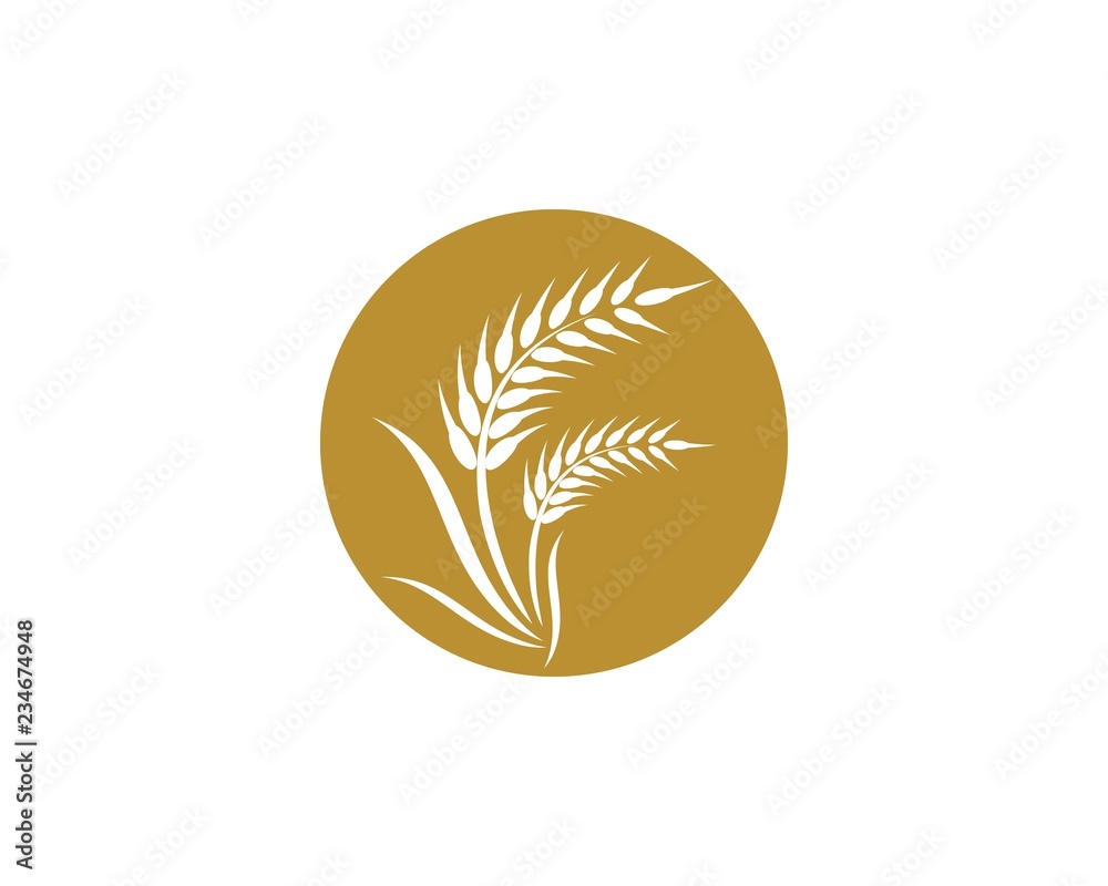 Fototapeta premium Wheat logo vector icon