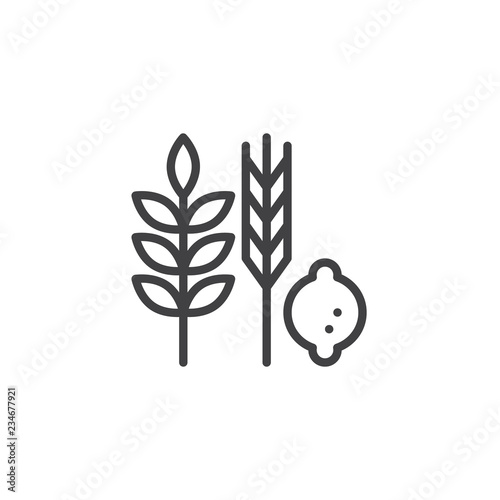 Hebrew Species outline icon. linear style sign for mobile concept and web design. Jewish holiday food simple line vector icon. Symbol, logo illustration. Pixel perfect vector graphics