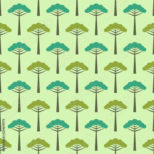 Seamless araucaria pattern