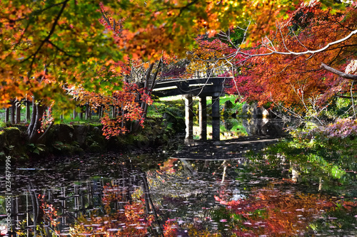 高岡古城公園の紅葉