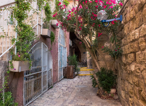 Ancient stone street, narrow street in Old Jaffa, ancient port city, oldest part of Tel Aviv-Yafo, Israel
