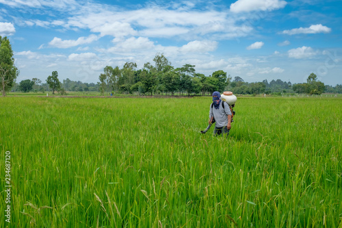 Asian Thai farmer to herbicides or chemical fertilizers Equipment on the fields green rice growing. © Thannaree