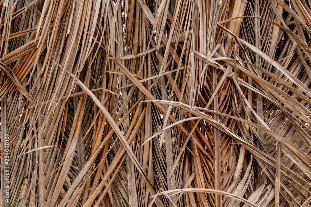 coconut leaves background brown coconut leaves background brown