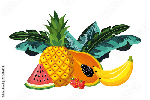 tropical fruits cartoon