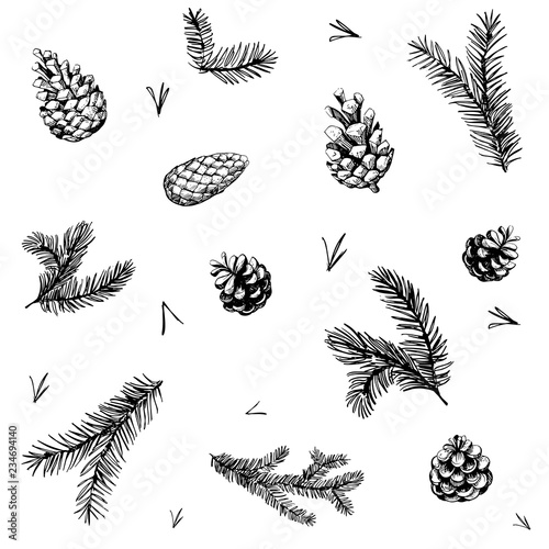 Seamless pattern with pine brunches and cones. Hand drawn vector