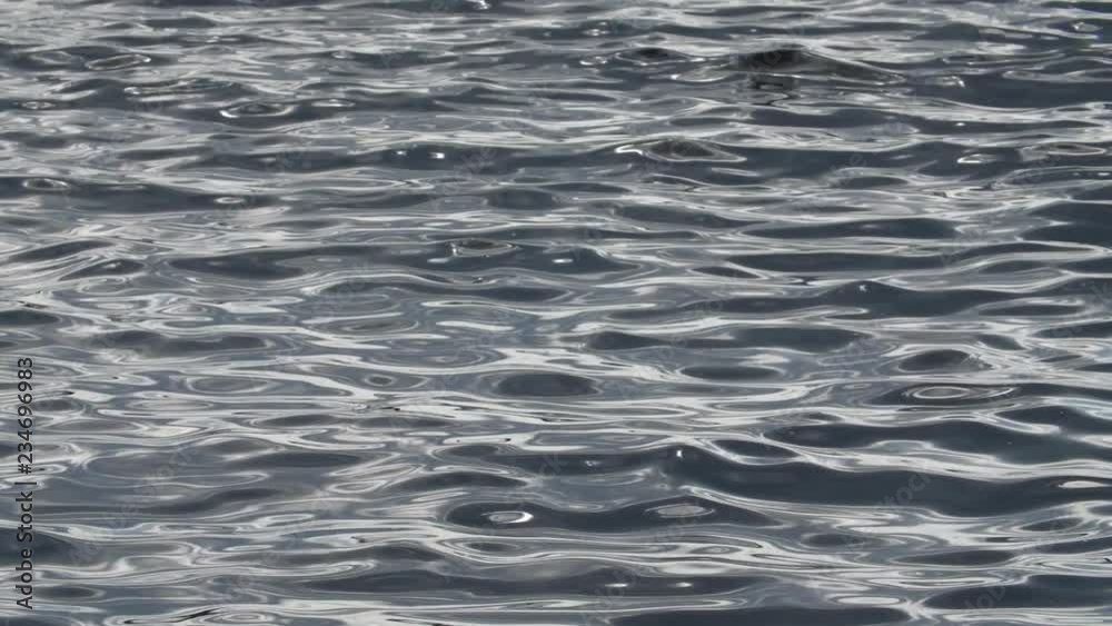 Slow motion surface of silky smooth waves and ripples on lake. Slow motion surface of silky smooth waves and ripples on lake.