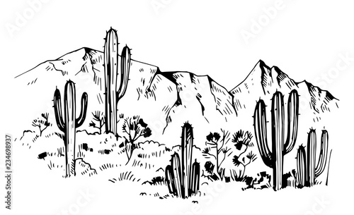 Sketch of the desert of America